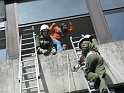 bild (36)